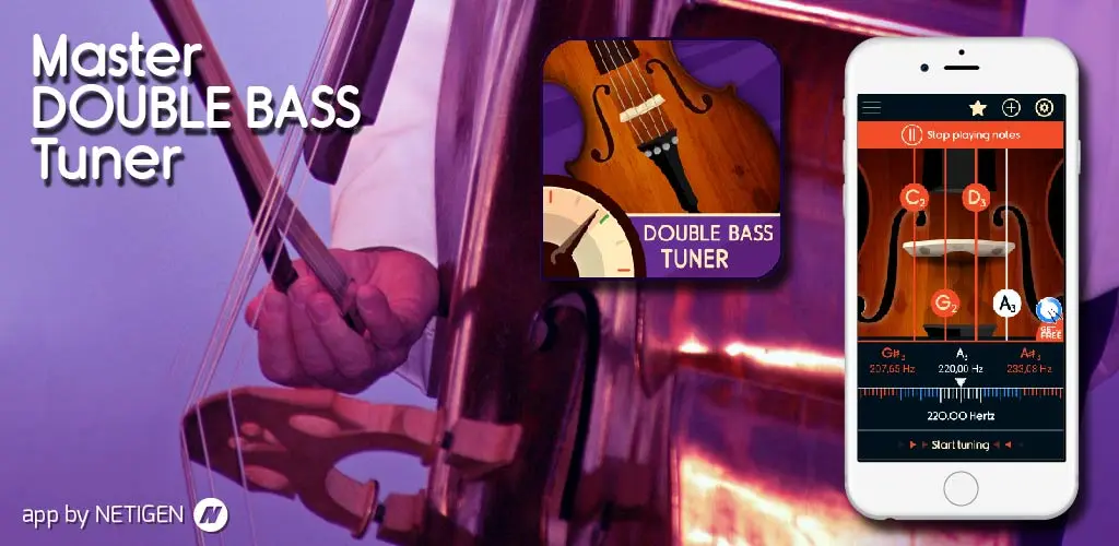 Header Banner