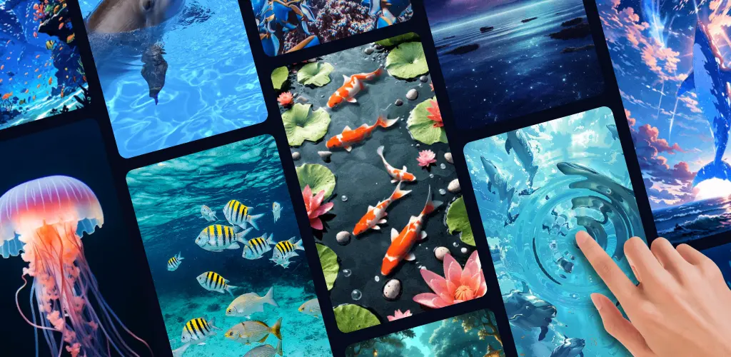 Header Banner