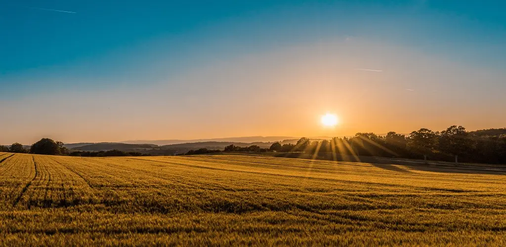 Header Banner