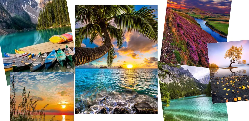 Header Banner
