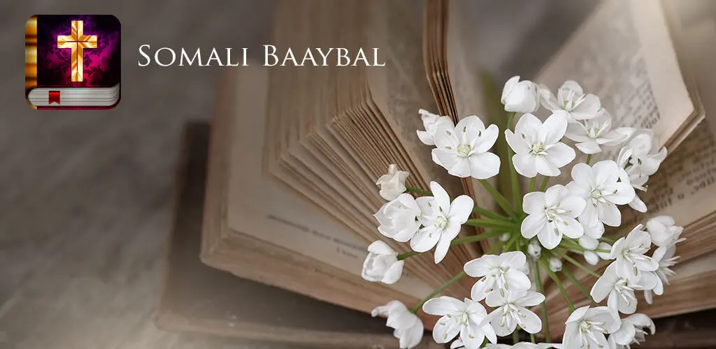 Header Banner