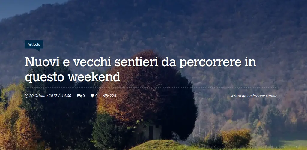 Header Banner