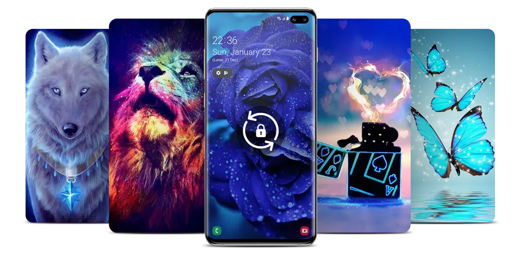 Header Banner