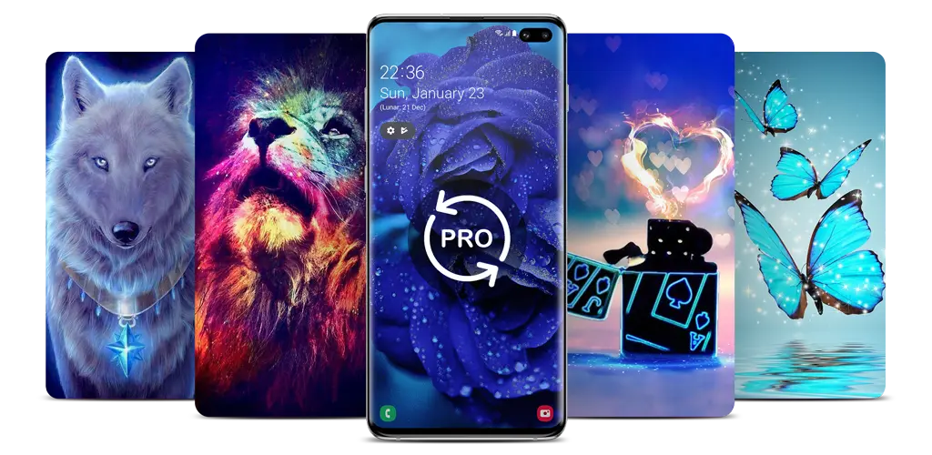 Header Banner