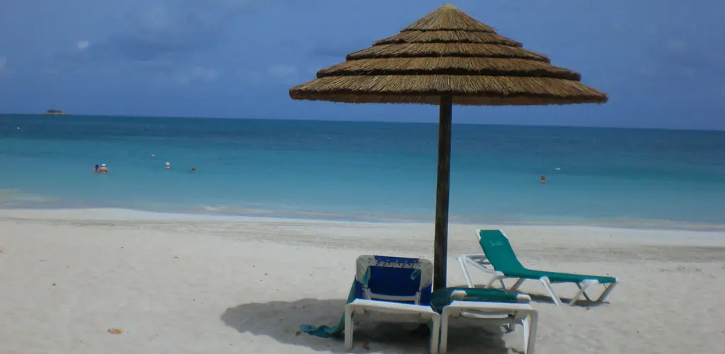 Header Banner