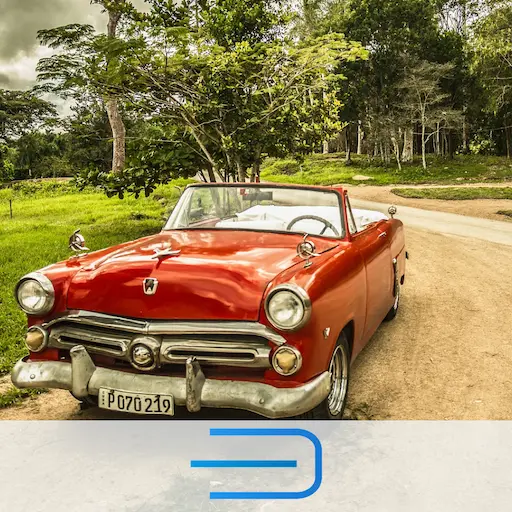 App Icon