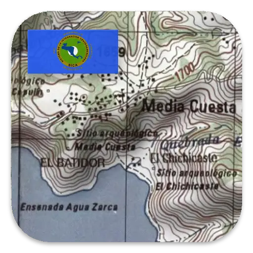App Icon