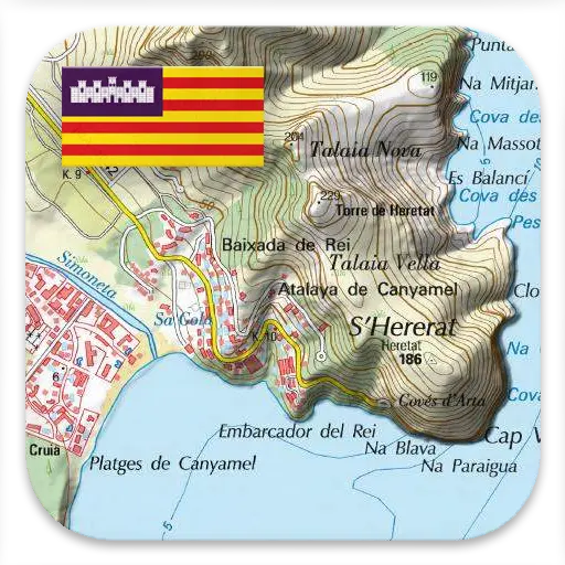 App Icon