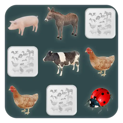 App Icon