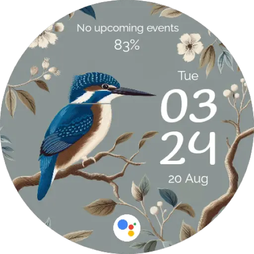 App Icon
