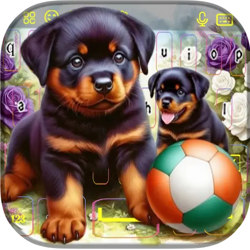 App Icon