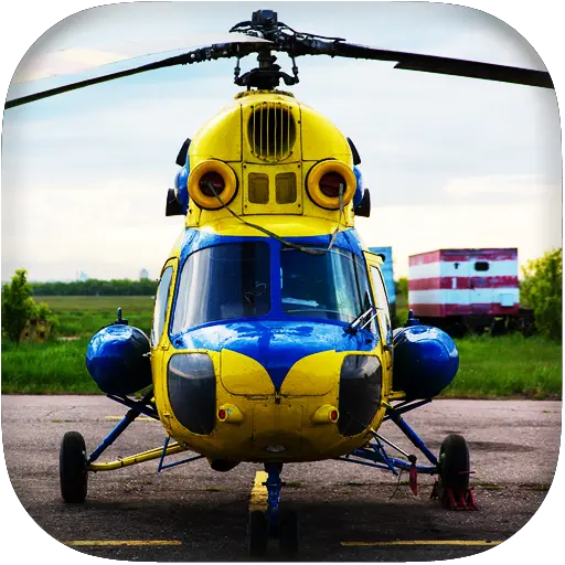 App Icon