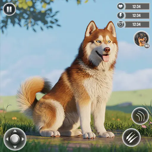 App Icon