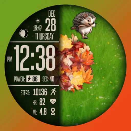 App Icon