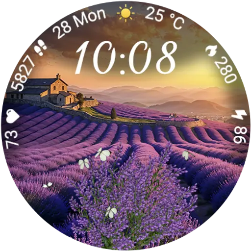 App Icon