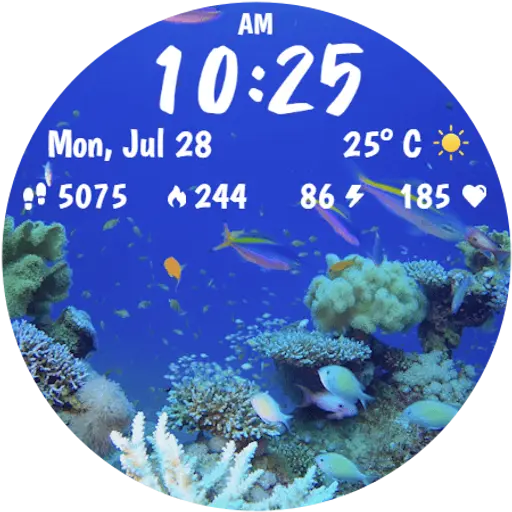 App Icon