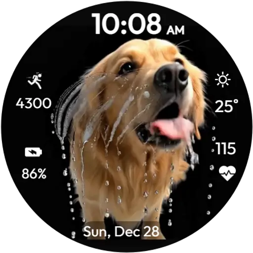 App Icon