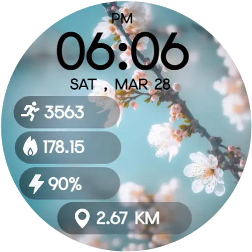 App Icon