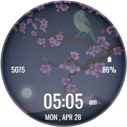 App Icon