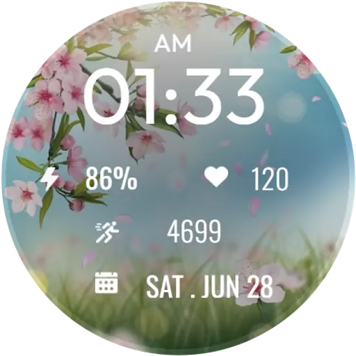 App Icon