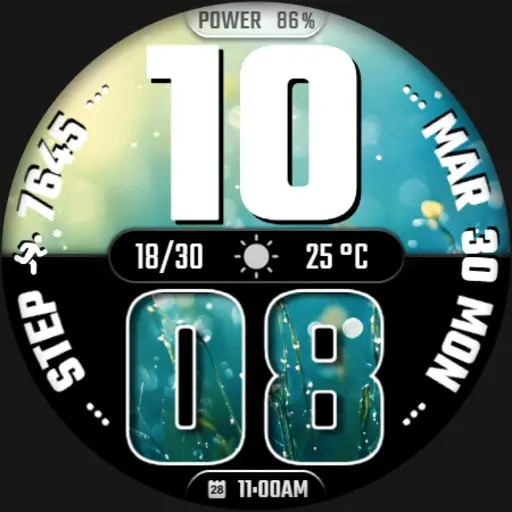 App Icon