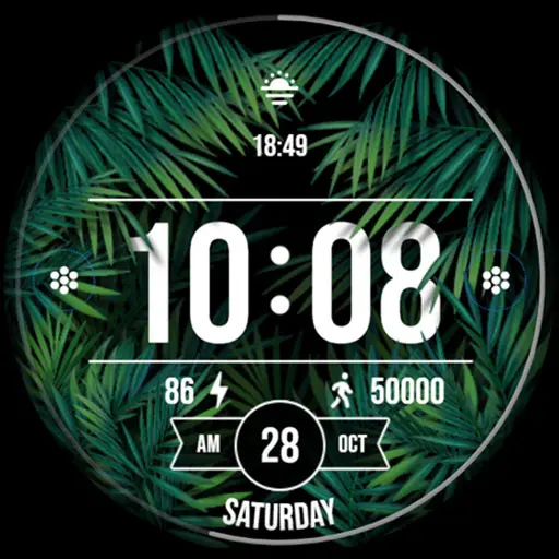 App Icon