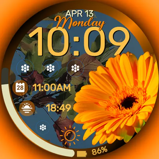 App Icon