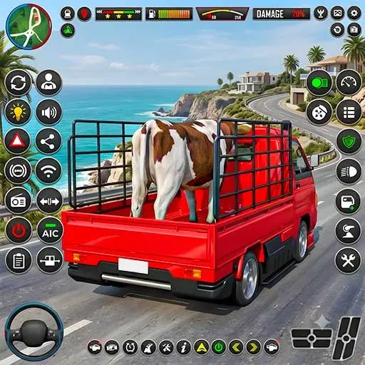 App Icon