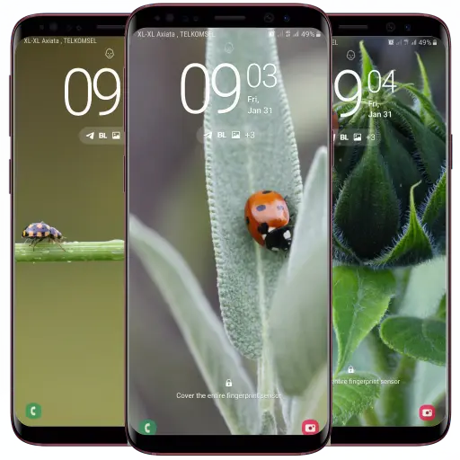 App Icon