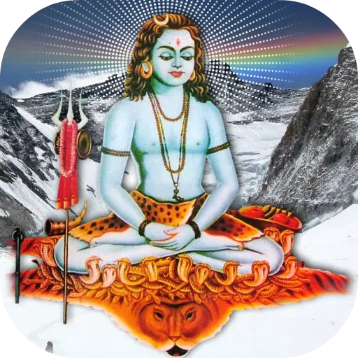 App Icon