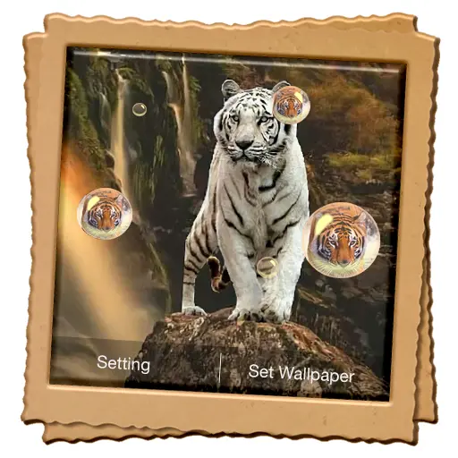 App Icon