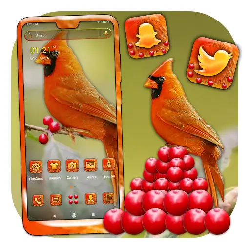 App Icon