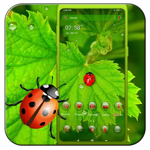 App Icon