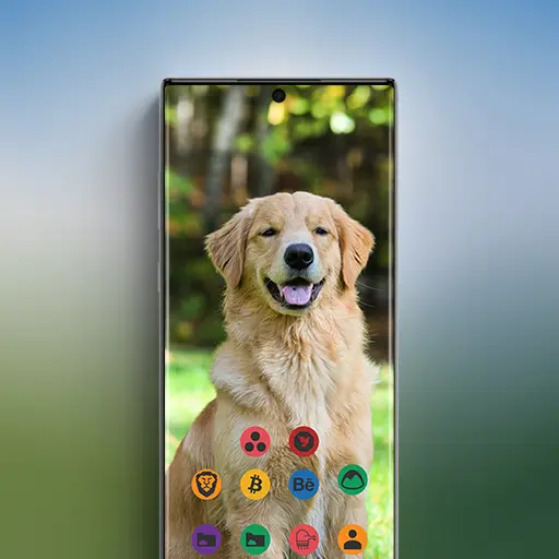 App Icon